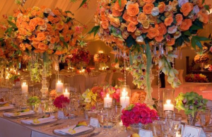 tangerine wedding decorations